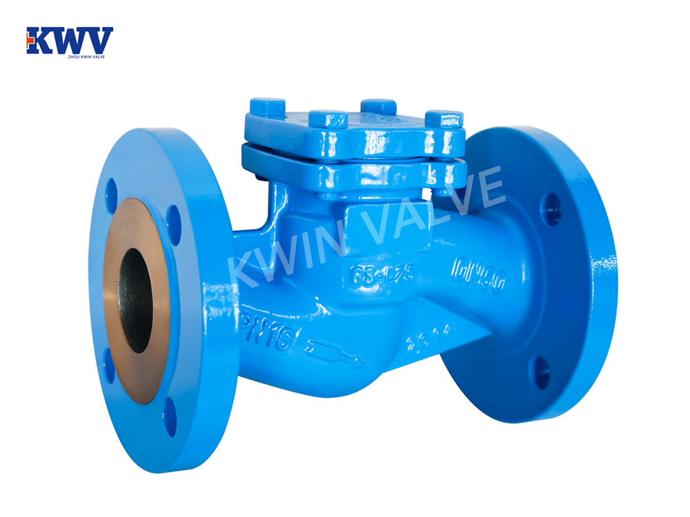 DIN Swing Check Valve