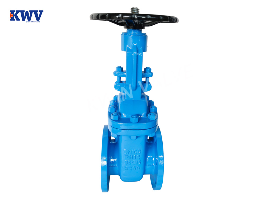 DIN F4 Rising Stem Gate Valve