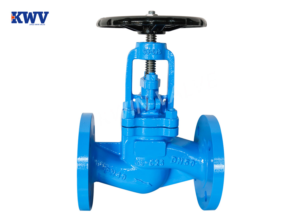 DIN Globe Valve