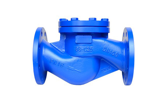 DIN Lift Check Valve