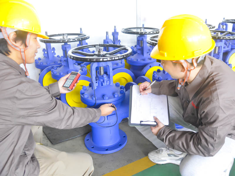 globe valve testing